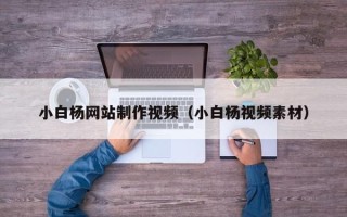 临邑小白杨网站制作视频（小白杨视频素材）