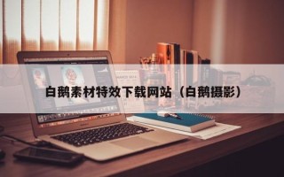 临邑白鹅素材特效下载网站（白鹅摄影）