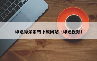临邑球迷惊呆素材下载网站（球迷视频）